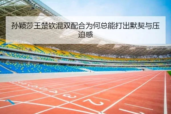 孙颖莎王楚钦混双配合为何总能打出默契与压迫感